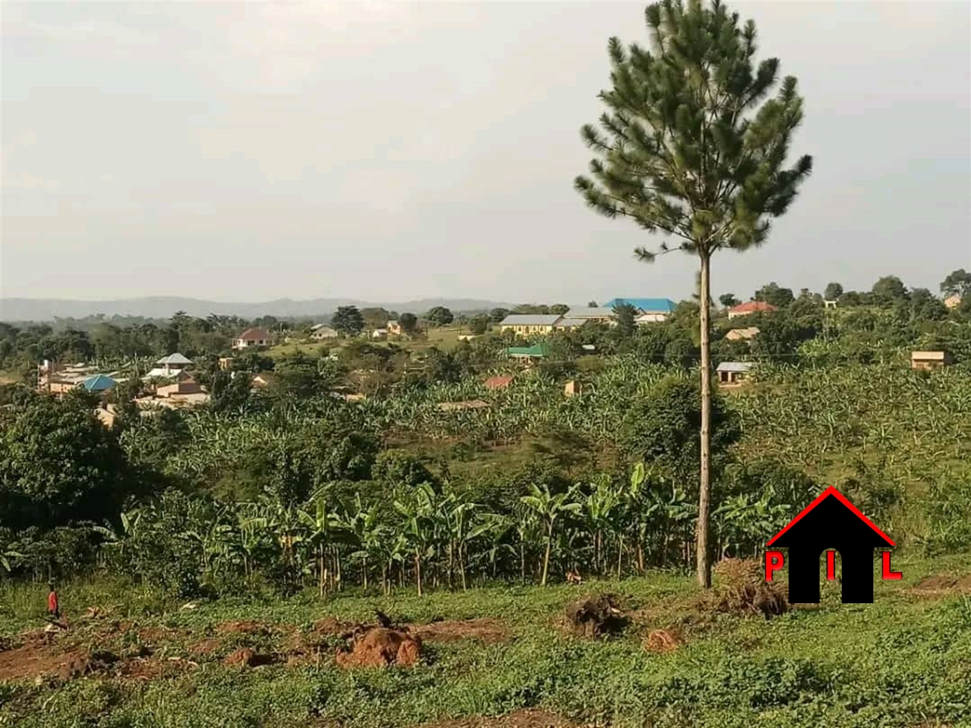 Commercial Land for sale in Kibanjja Luweero