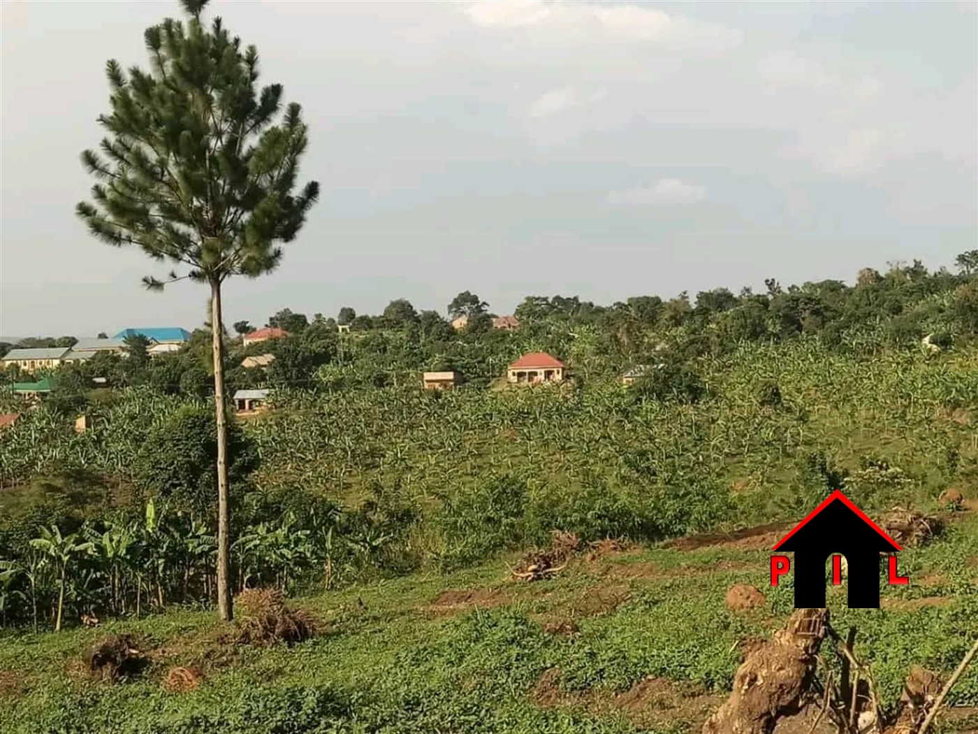 Commercial Land for sale in Kibanjja Luweero