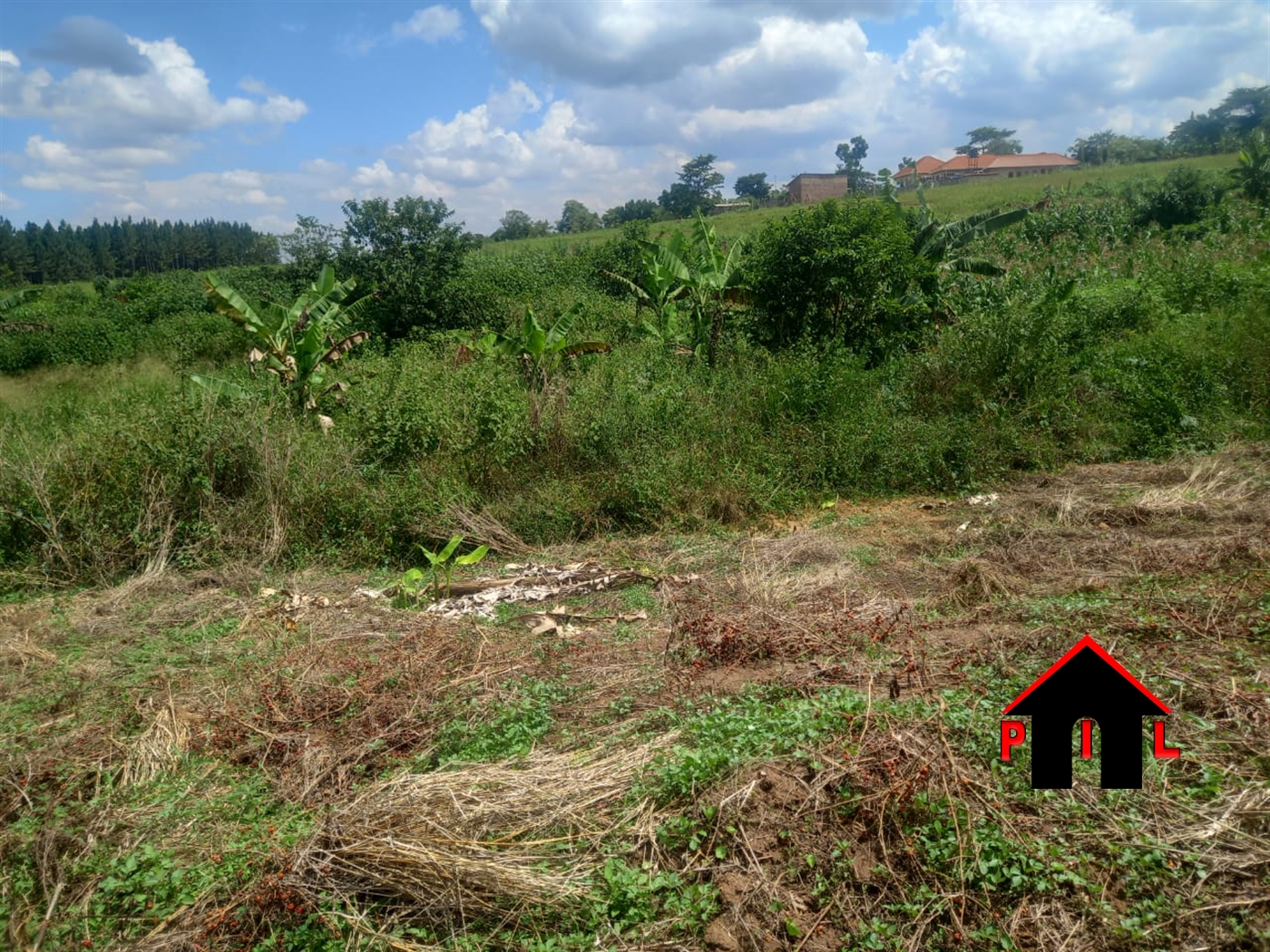 Agricultural Land for sale in Nakassajja Wakiso