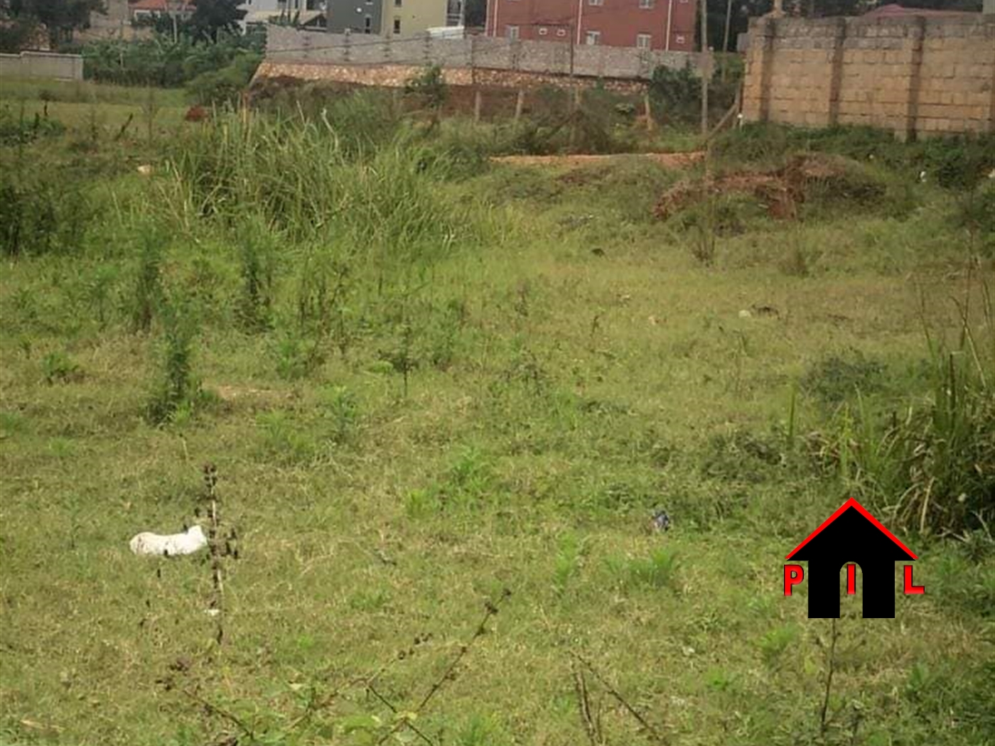 Residential Land for sale in Kyaliwajjala Wakiso