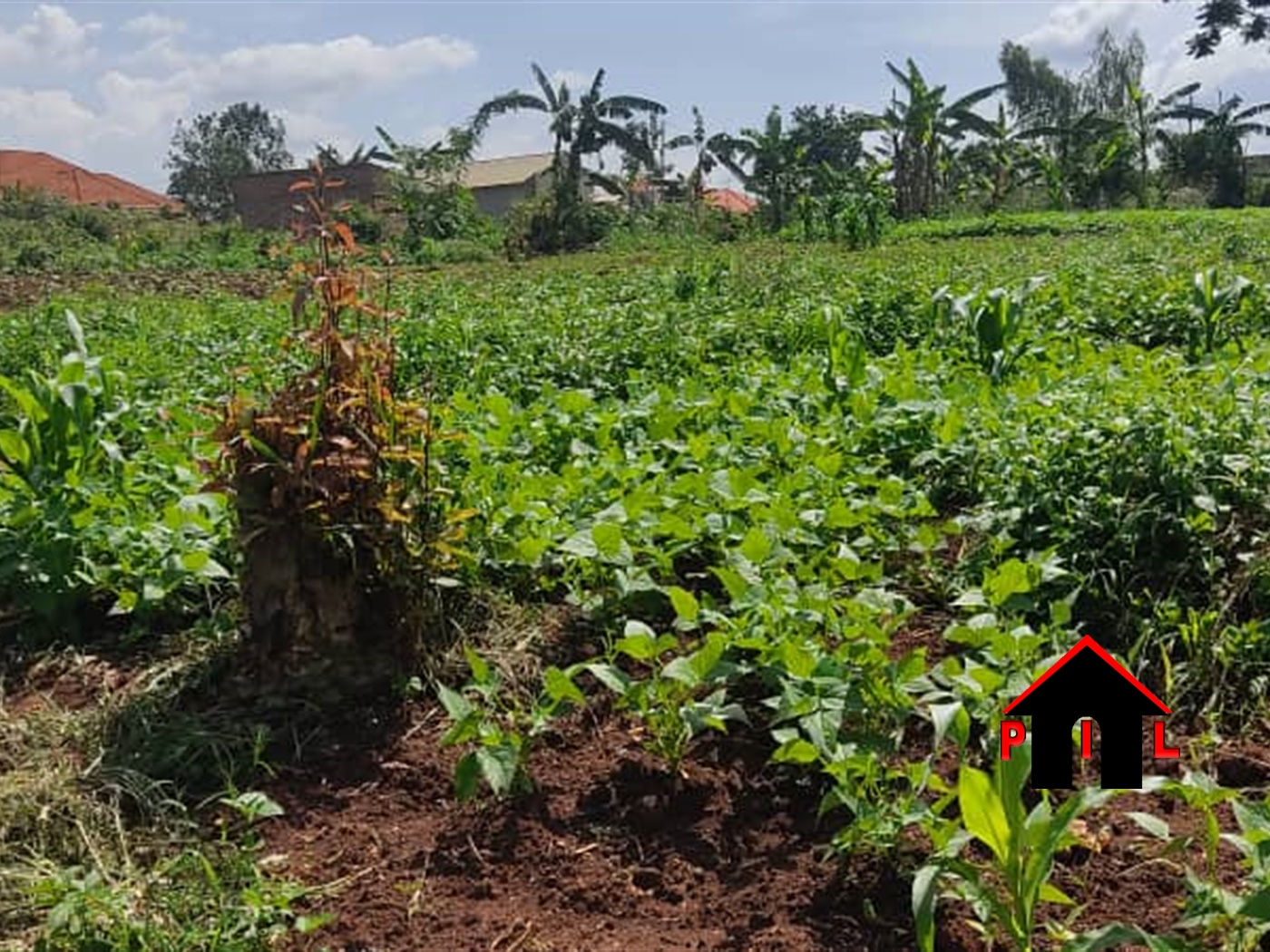 Residential Land for sale in Kira Wakiso