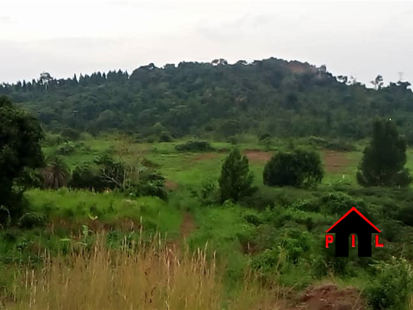 Commercial Land for sale in Kajjansi Wakiso