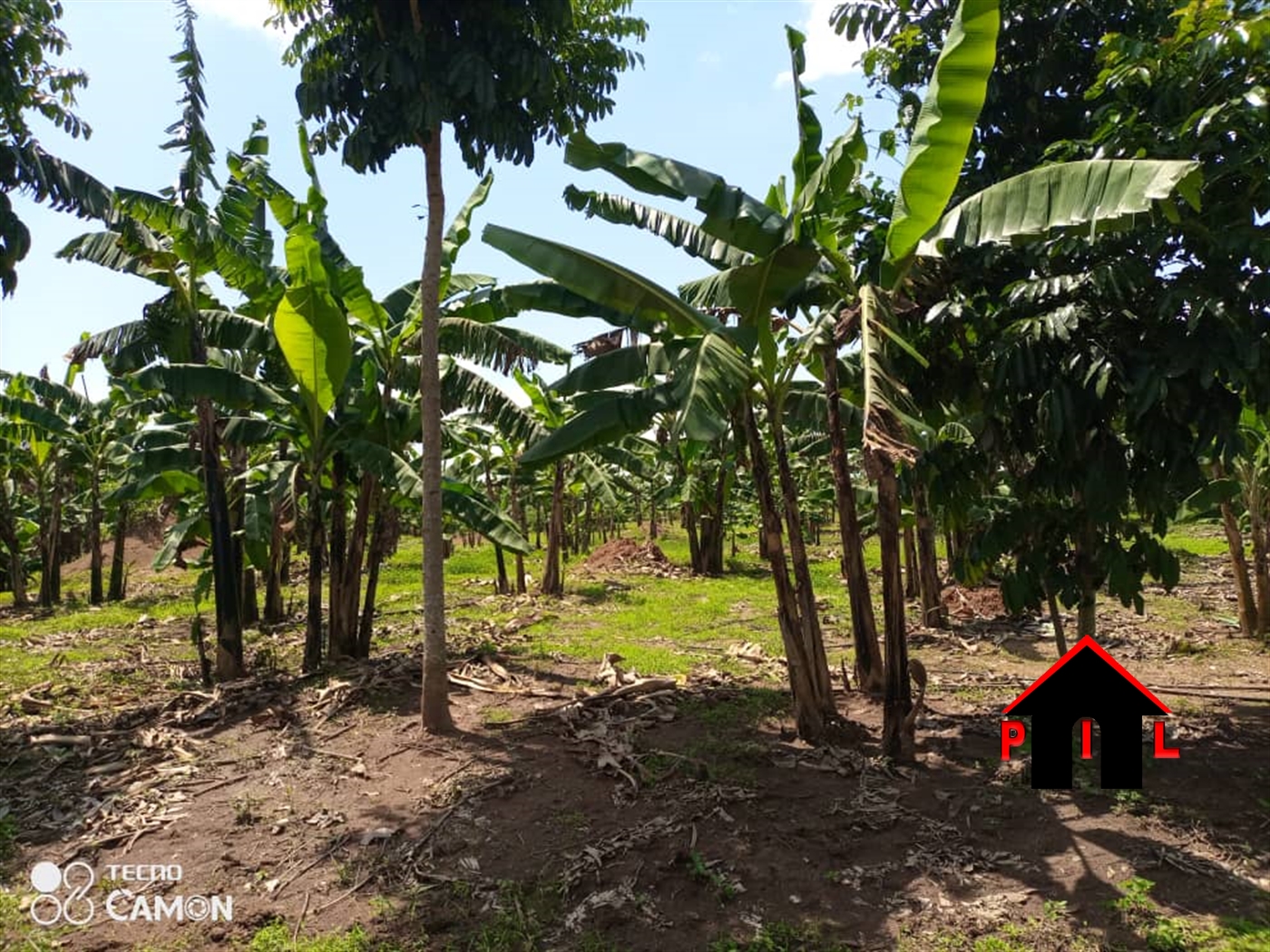 Agricultural Land for sale in Kikyuusa Luweero