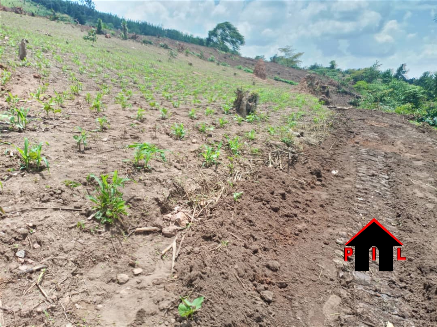 Residential Land for sale in Gobelo Wakiso