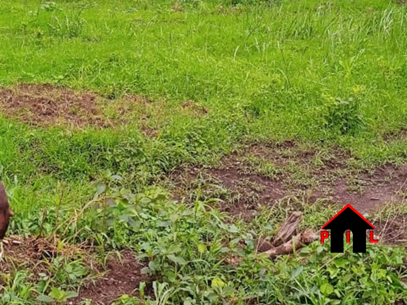 Residential Land for sale in Kiwebwa Wakiso