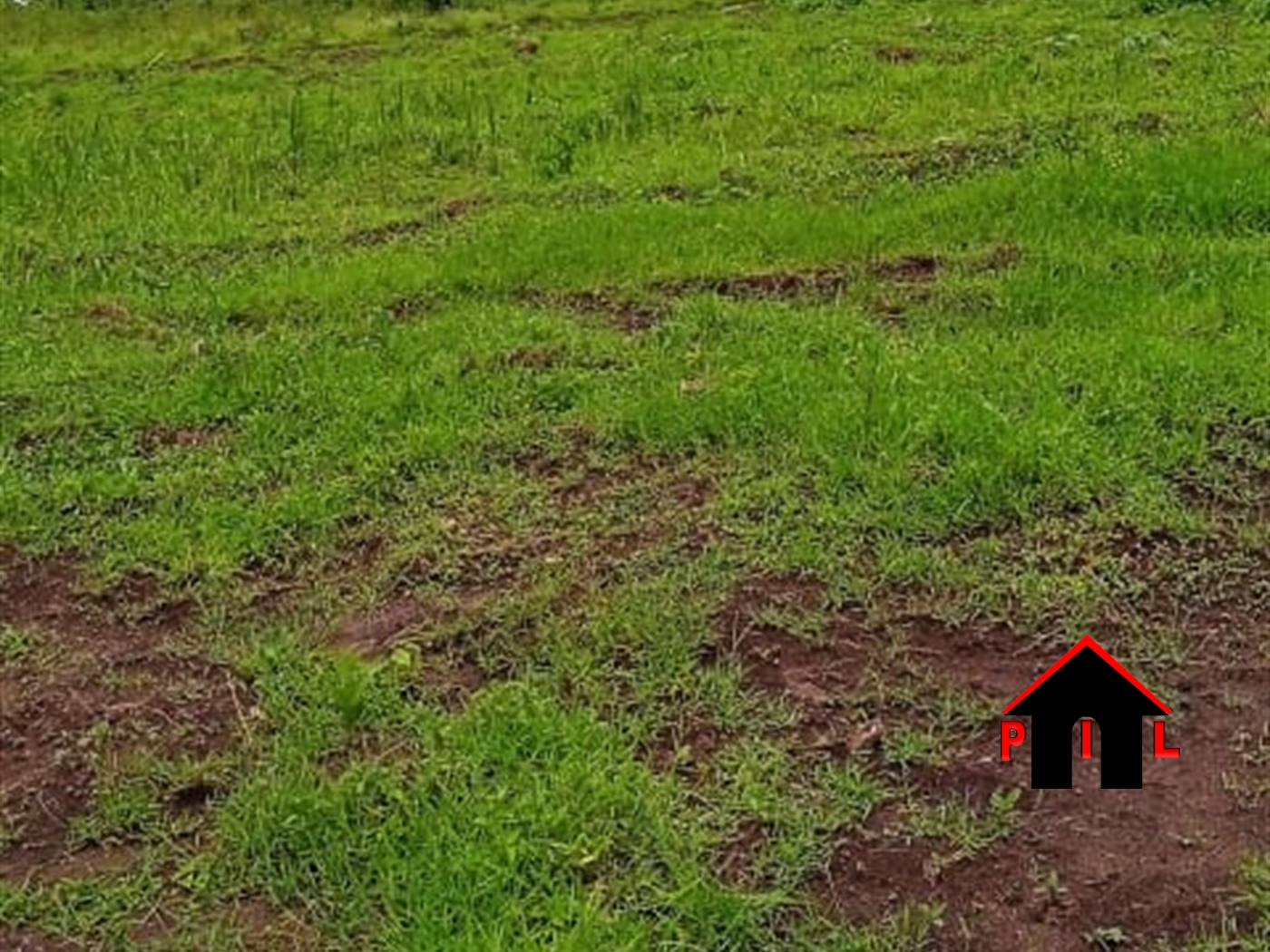 Residential Land for sale in Kiwebwa Wakiso