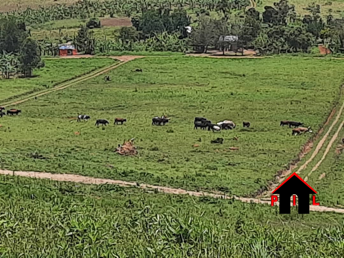 Residential Land for sale in Kakiri Wakiso