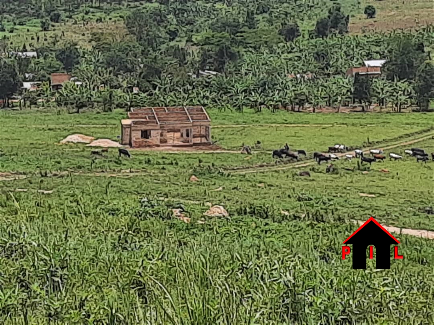 Residential Land for sale in Kakiri Wakiso