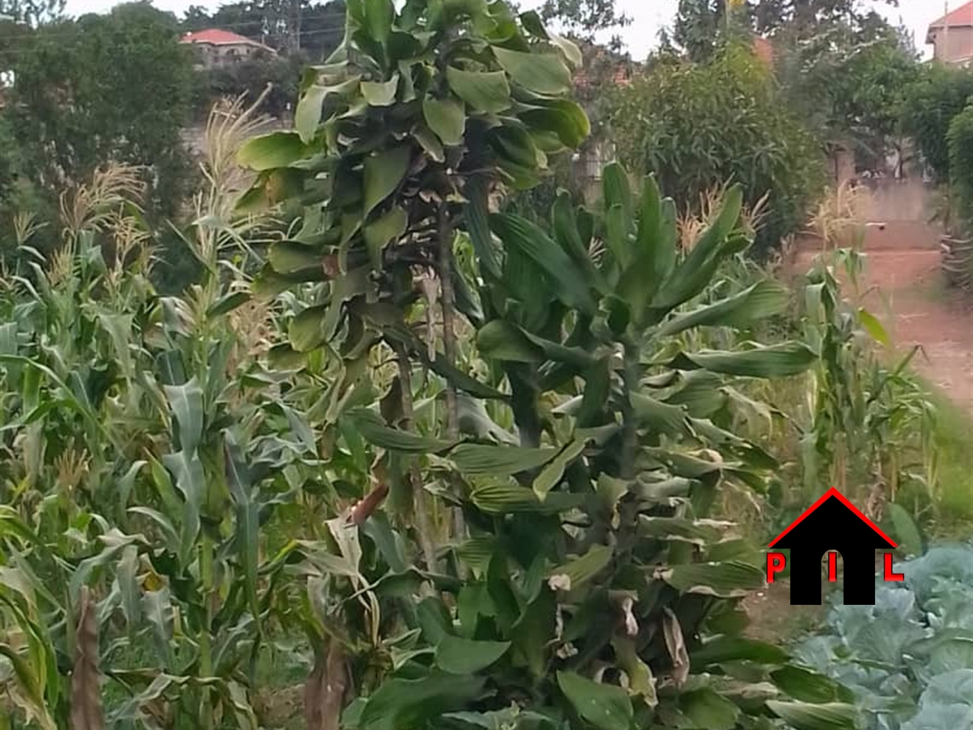 Residential Land for sale in Lubowa Wakiso