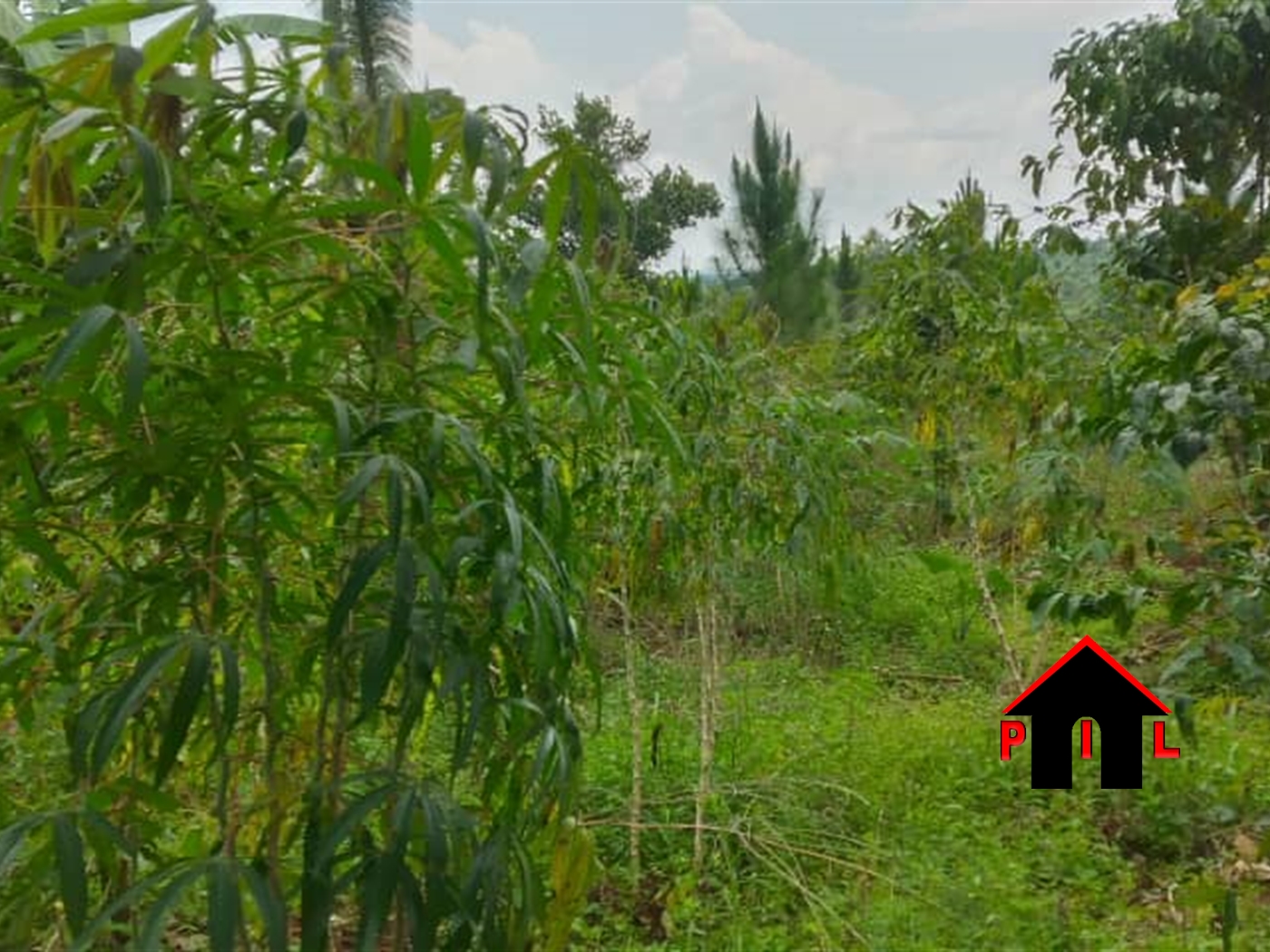 Residential Land for sale in Sonde Wakiso