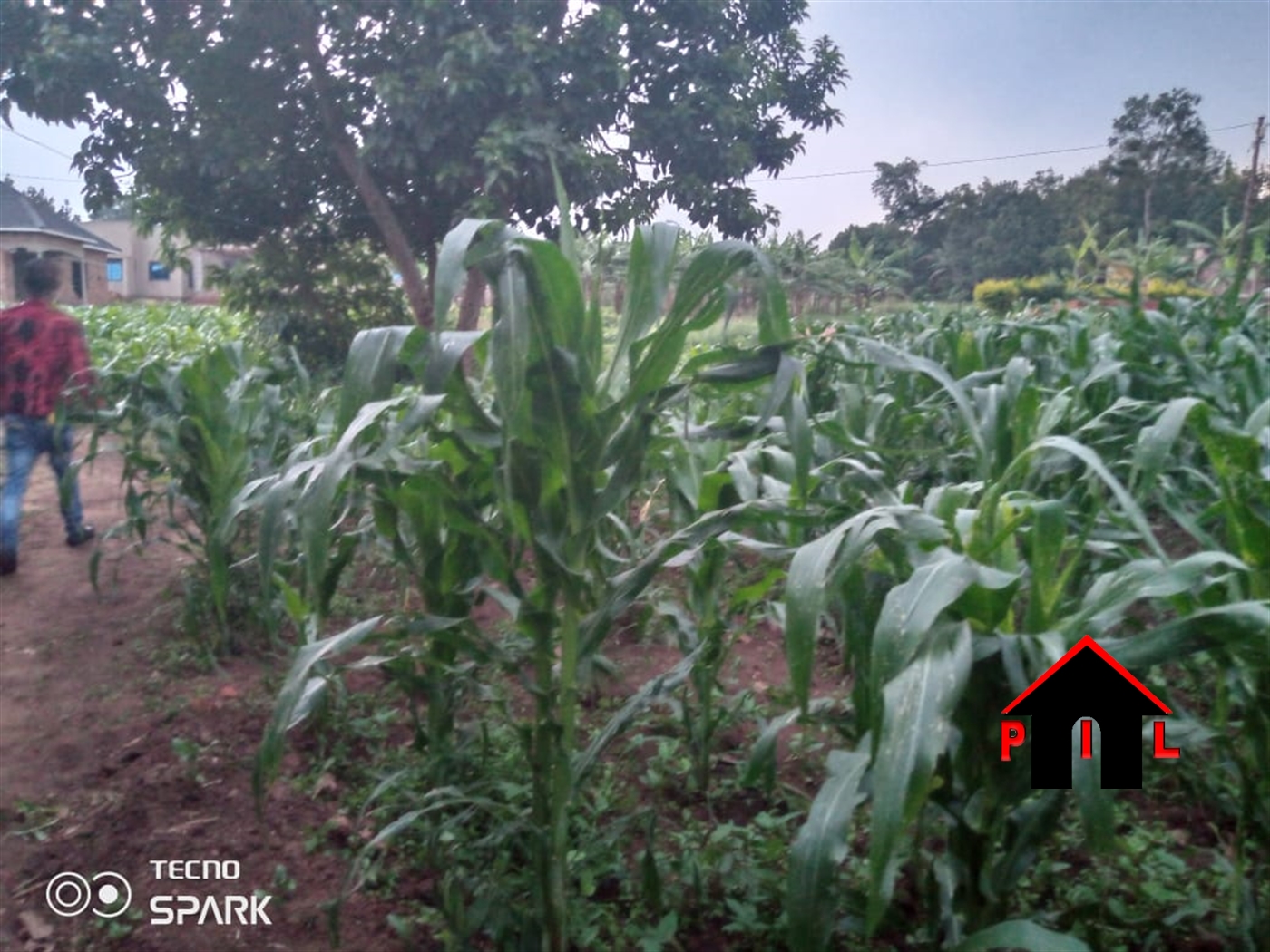 Residential Land for sale in Ssanga Kiruhura