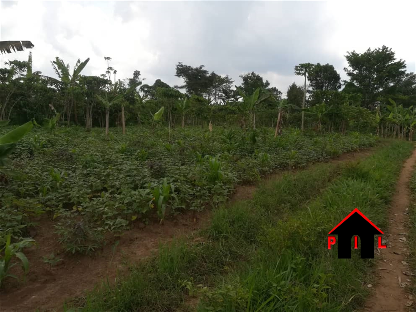 Commercial Land for sale in Mwera Wakiso