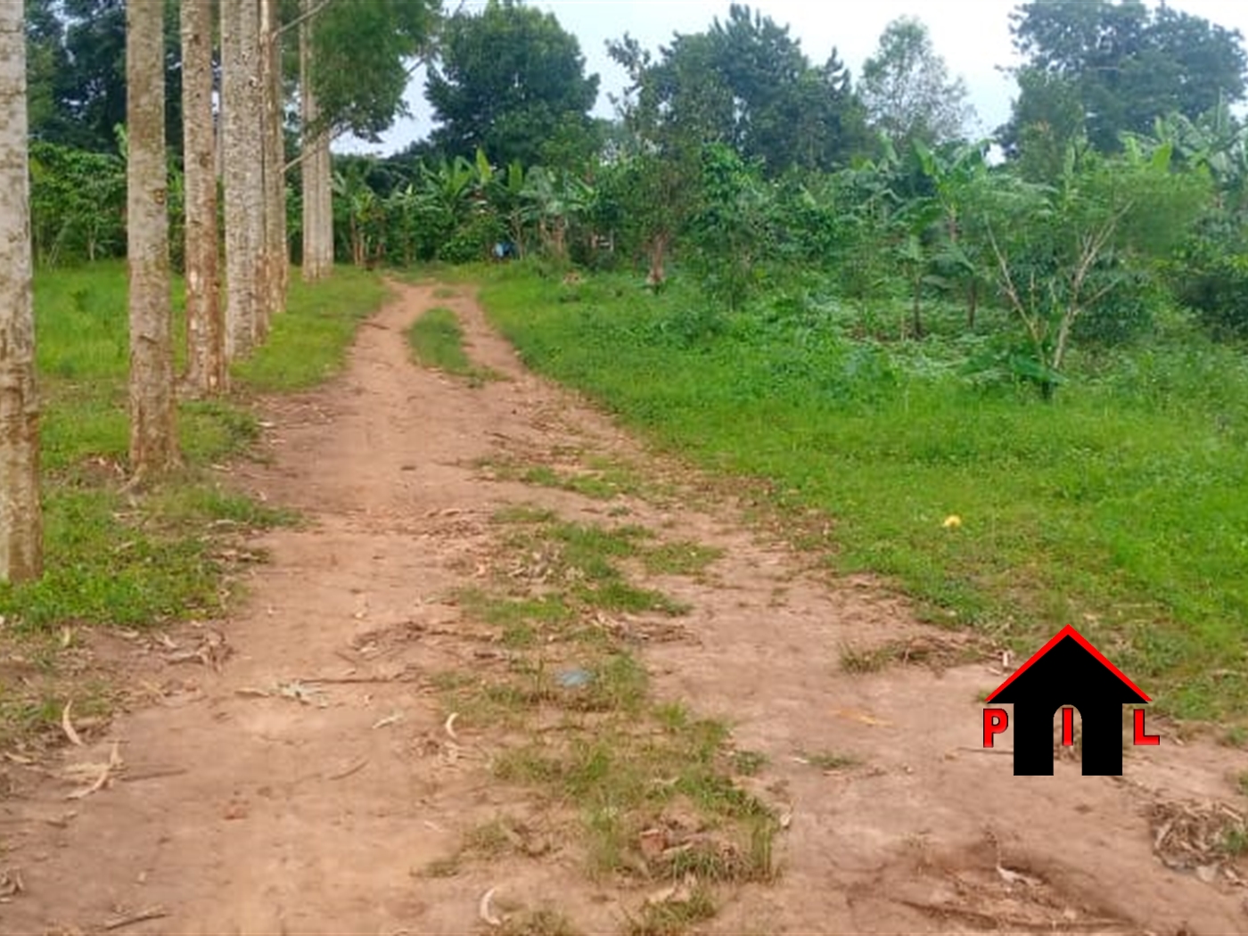 Residential Land for sale in Kavuule Wakiso