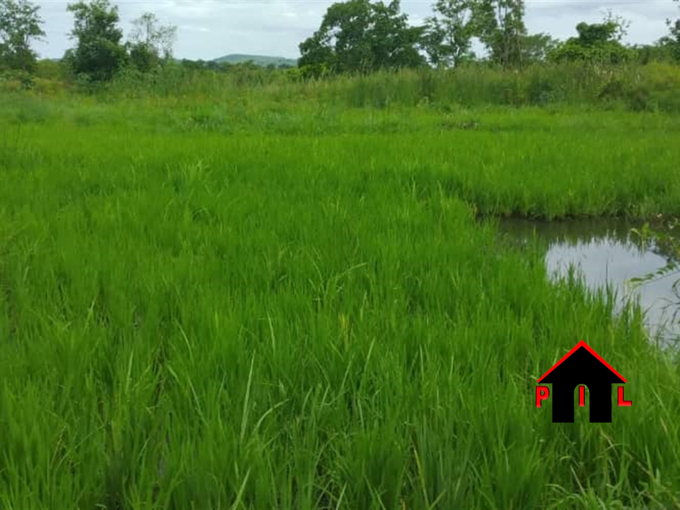 Commercial Land for sale in Bulema Kiboga