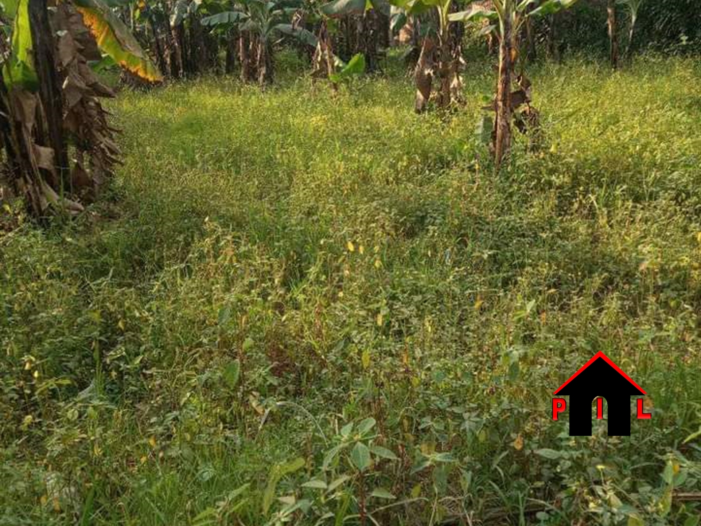 Residential Land for sale in Kiggogwa Wakiso