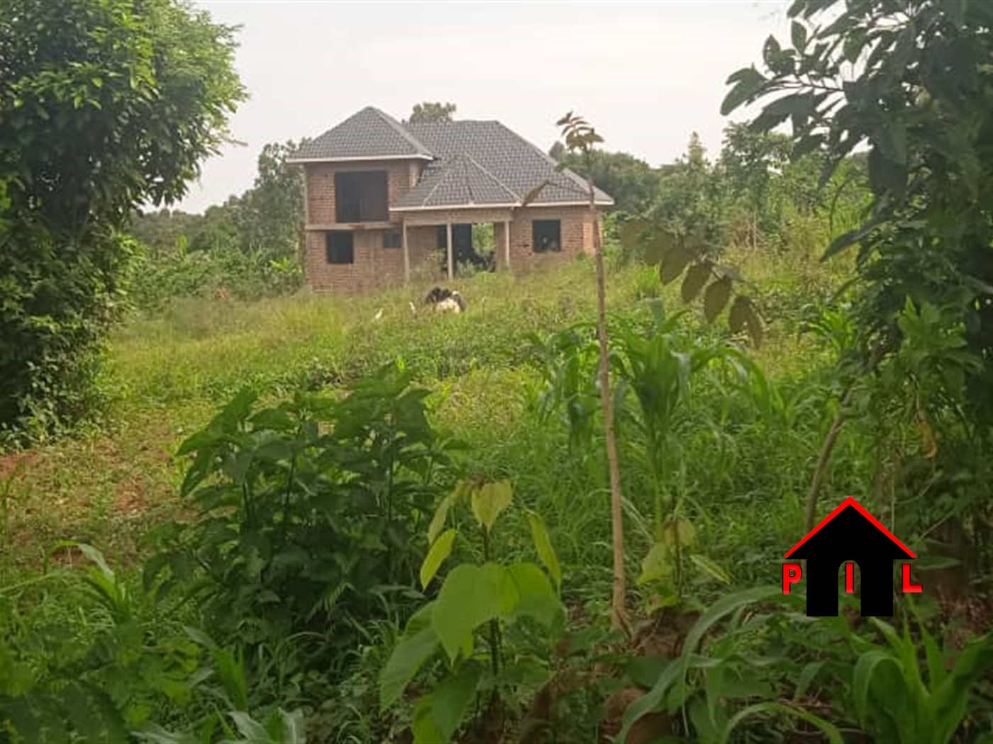 Residential Land for sale in Nkoowe Wakiso