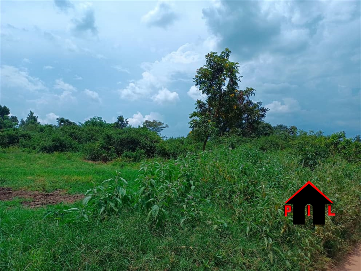 Commercial Land for sale in Kiwenda Wakiso