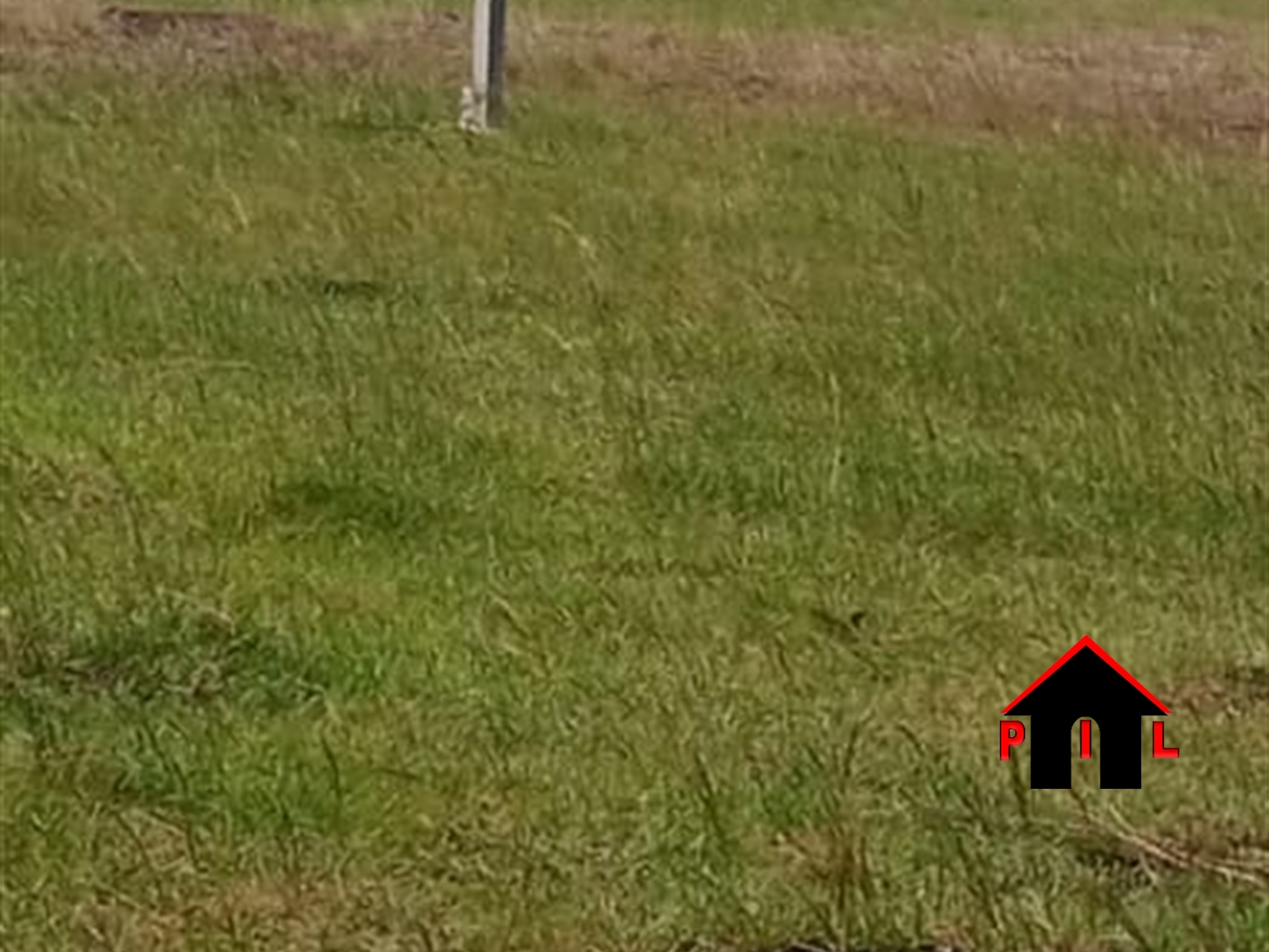 Residential Land for sale in Kawuku Wakiso