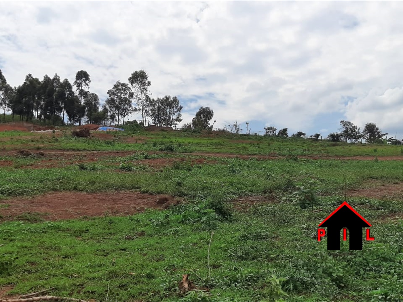 Residential Land for sale in Nsaggu Wakiso