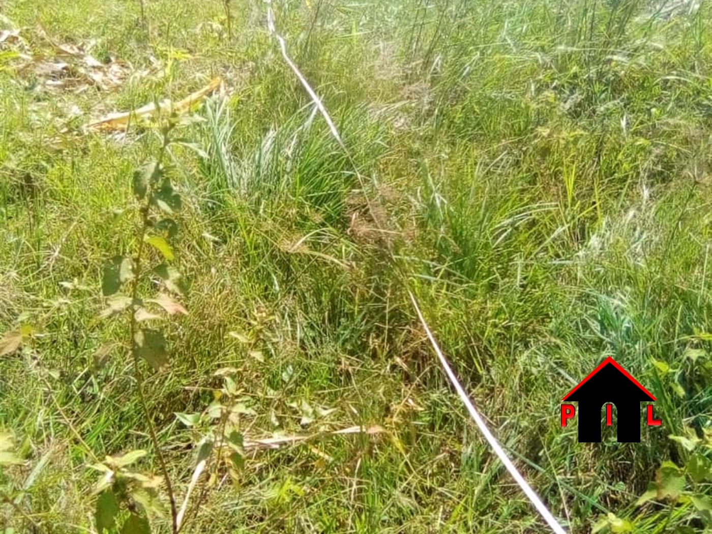 Residential Land for sale in Busiika Luweero