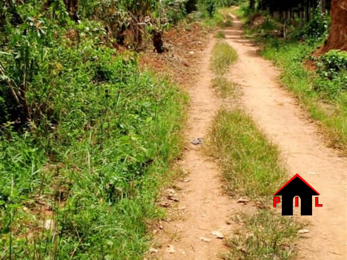 Agricultural Land for sale in Bubebele Wakiso