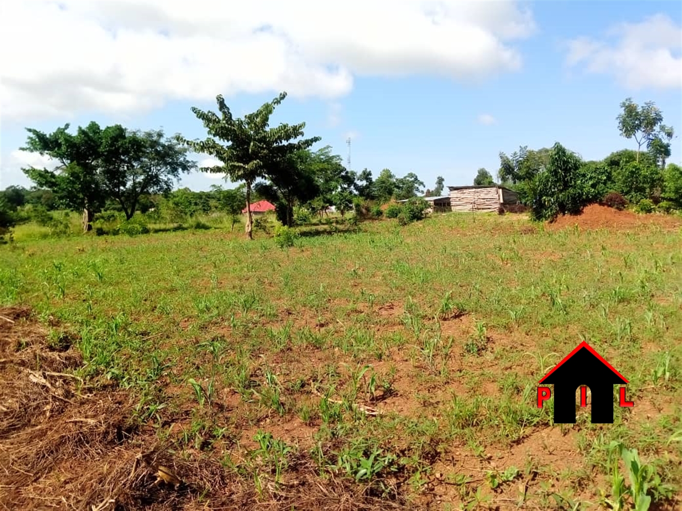 Commercial Land for sale in Yandwe Luweero