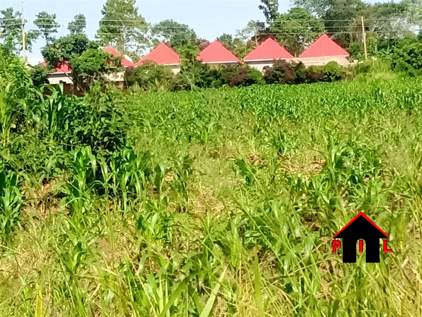 Commercial Land for sale in Yandwe Luweero