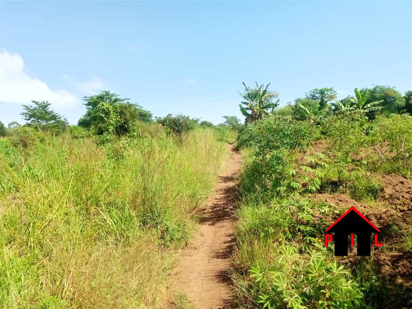 Commercial Land for sale in Yandwe Luweero