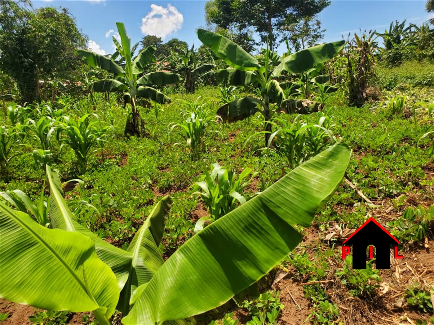 Commercial Land for sale in Kiwebwa Wakiso