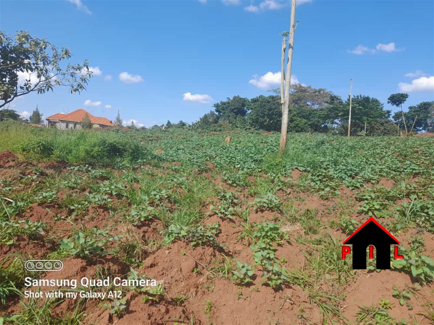 Commercial Land for sale in Ddundu Mukono