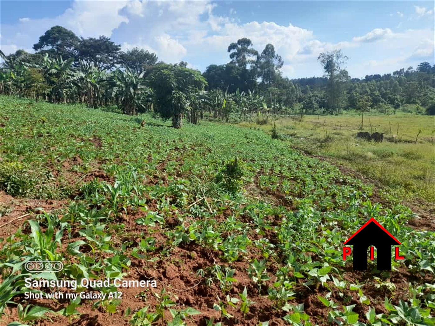 Commercial Land for sale in Ddundu Mukono