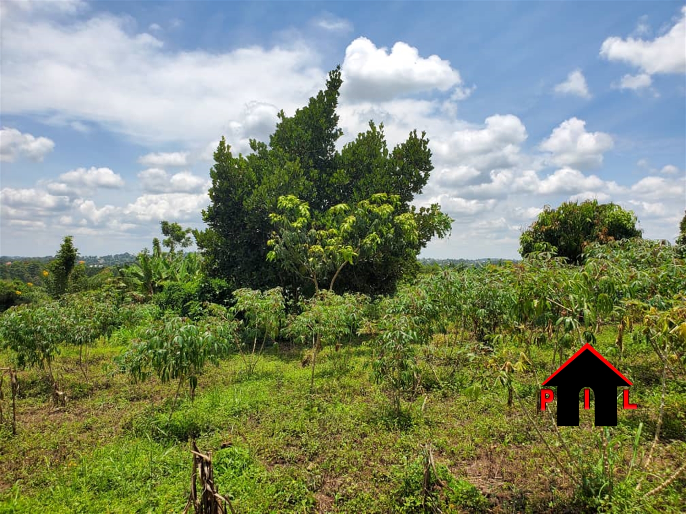 Commercial Land for sale in Nakakololo Wakiso