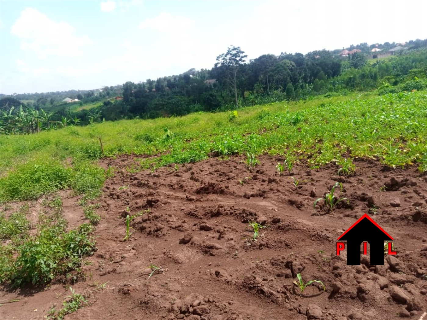 Residential Land for sale in Kavule Wakiso