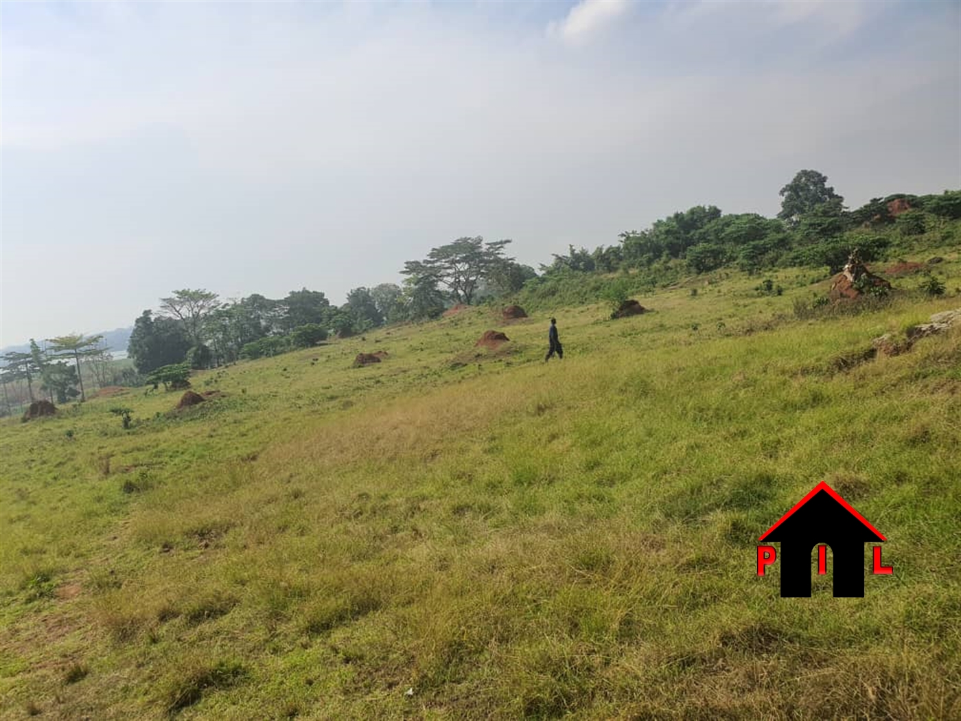 Commercial Land for sale in Nganjo Wakiso