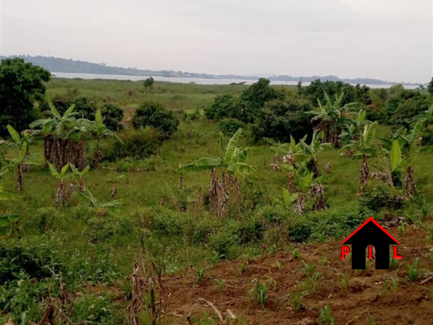 Commercial Land for sale in Nalugala Wakiso