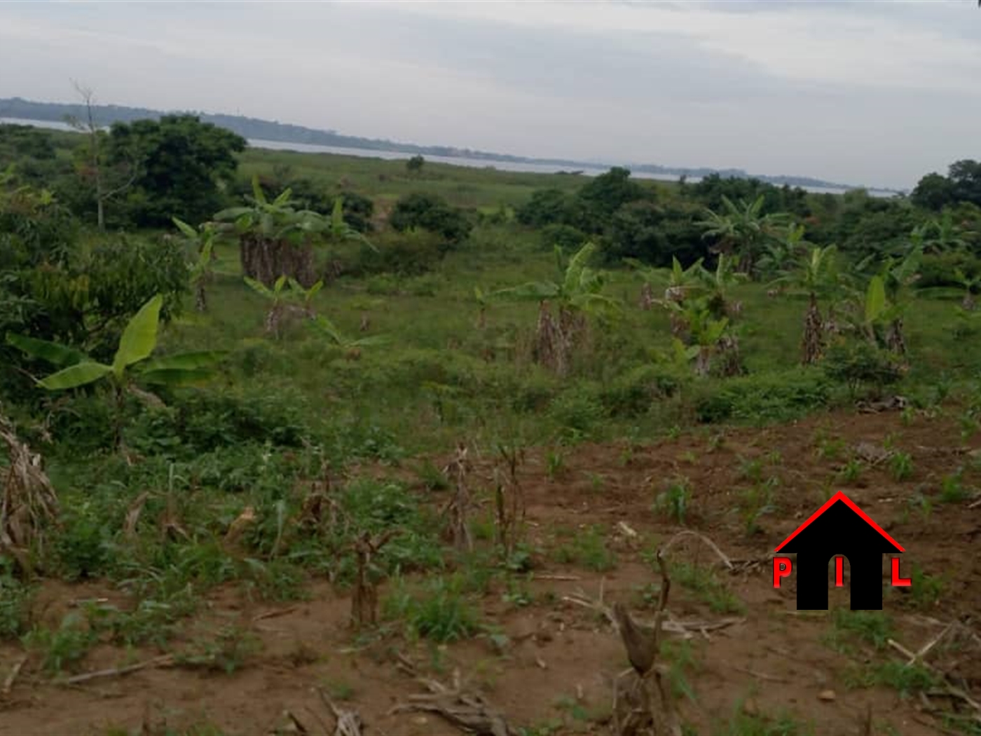 Commercial Land for sale in Nalugala Wakiso