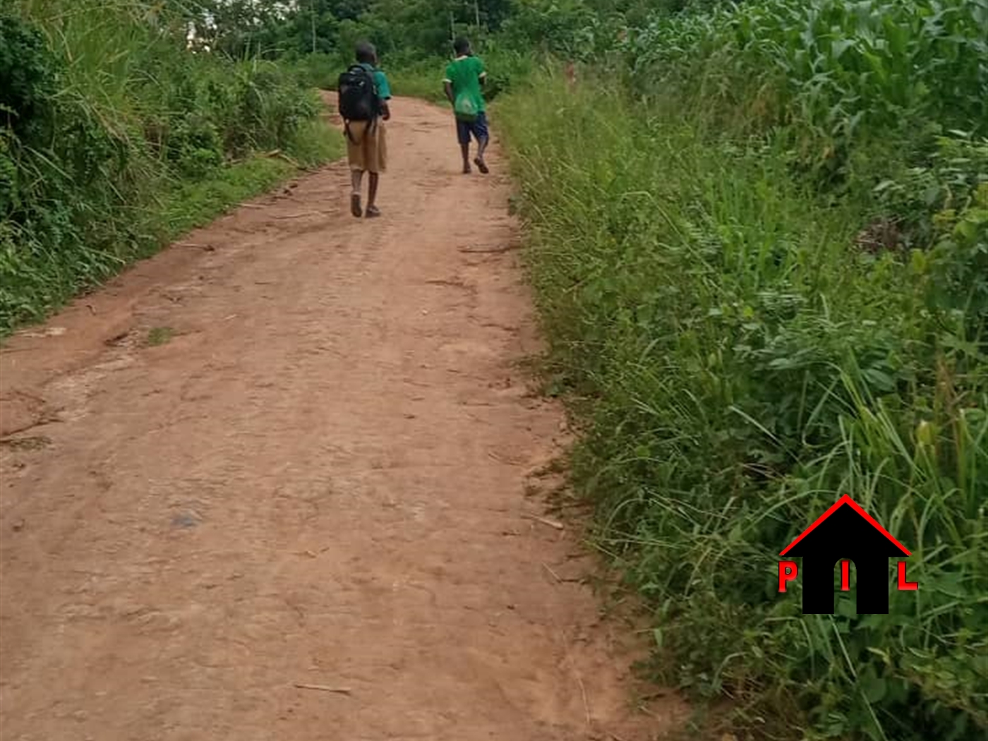 Agricultural Land for sale in Lwemwedde Kibaale