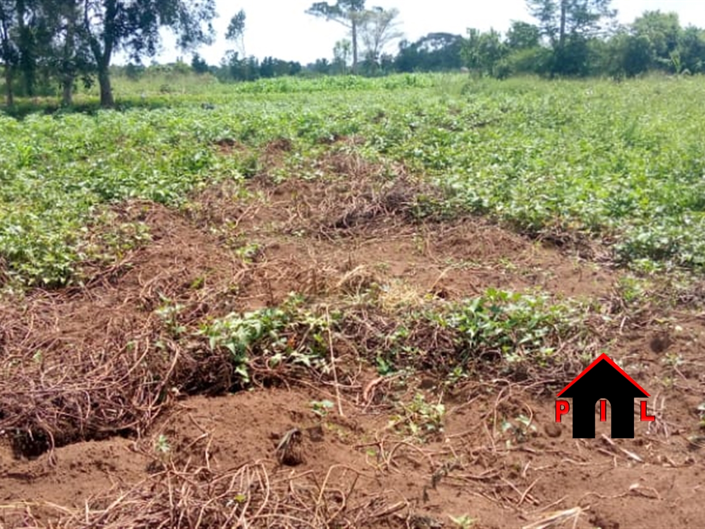 Commercial Land for sale in Bukeelele Wakiso