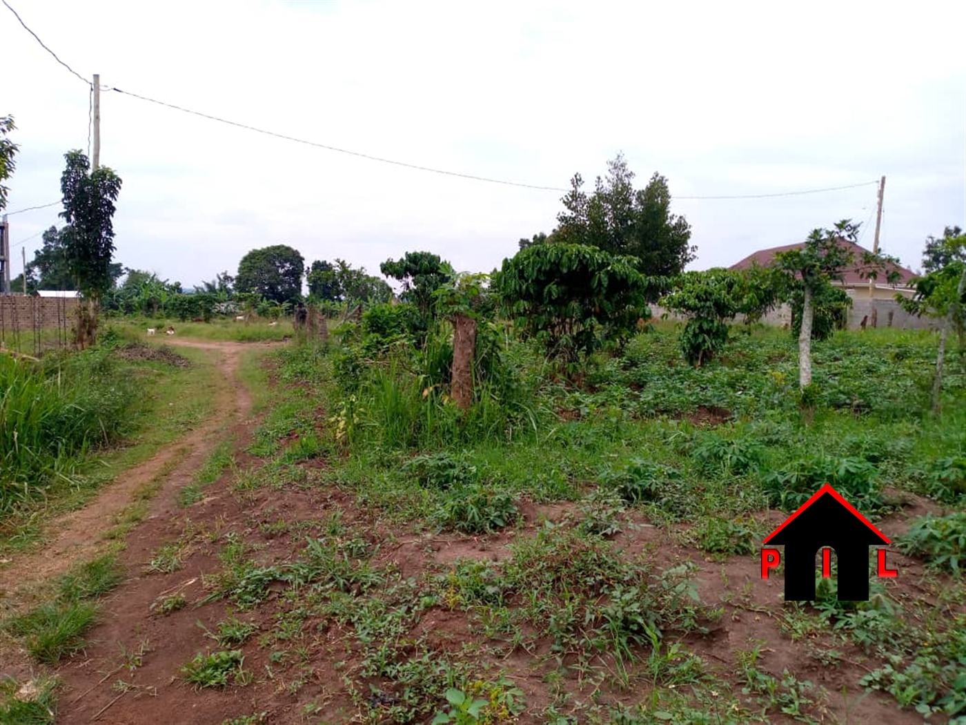 Residential Land for sale in Busukuma Wakiso