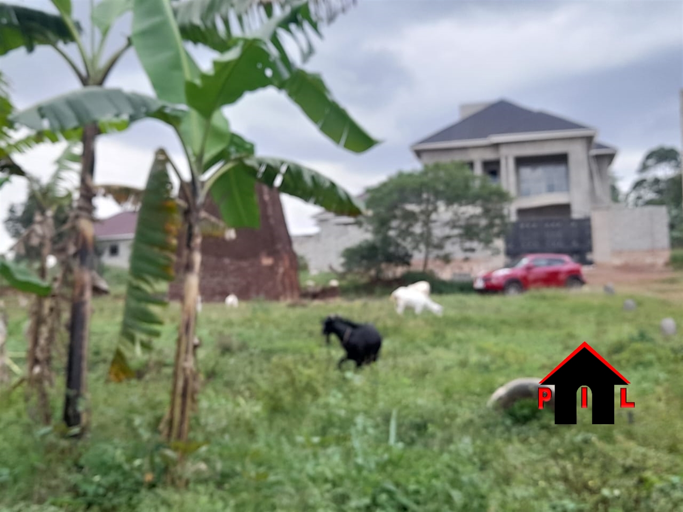 Commercial Land for sale in Jjoggo Wakiso