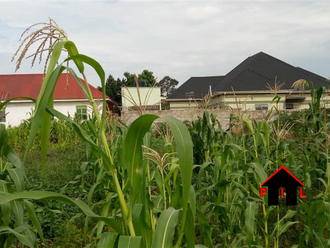 Residential Land for sale in Kijabijo Wakiso