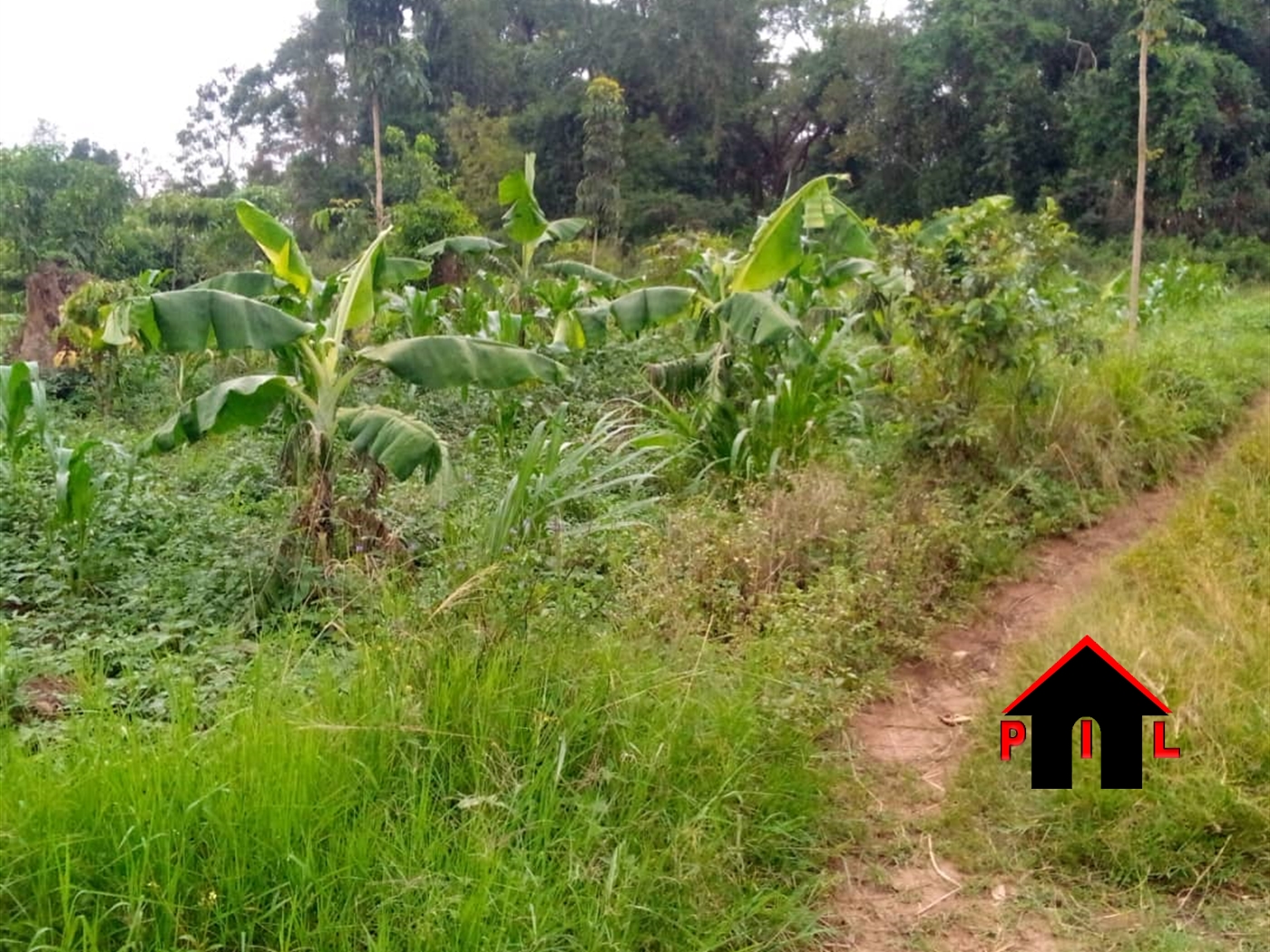 Residential Land for sale in Busukuma Wakiso