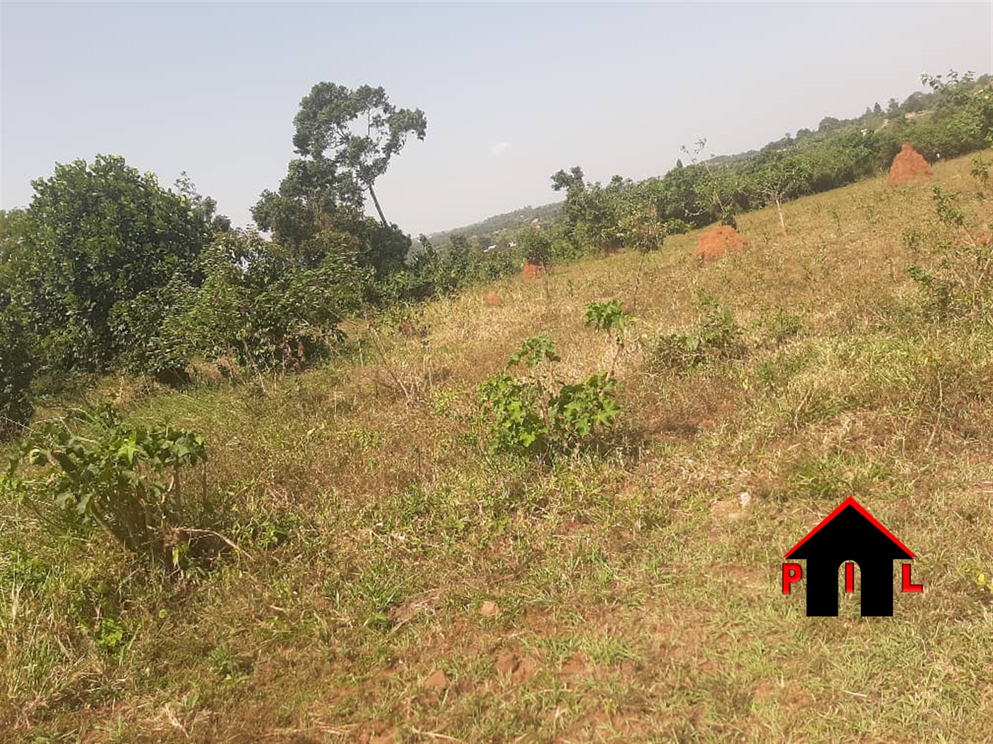 Residential Land for sale in Kasangati Wakiso