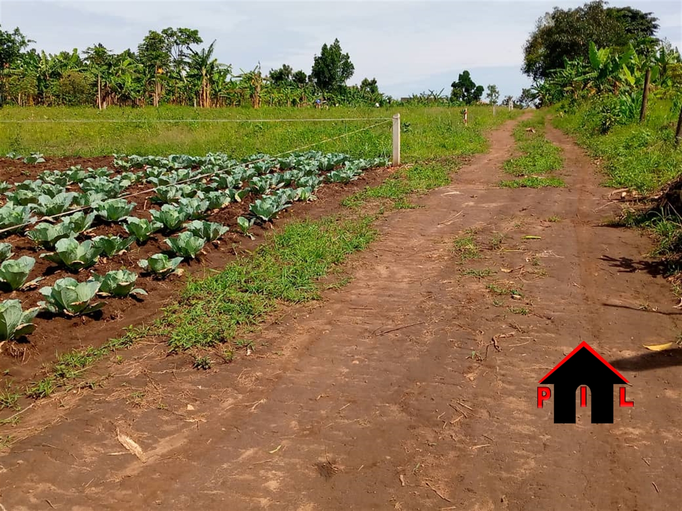 Residential Land for sale in Kalagi Mukono