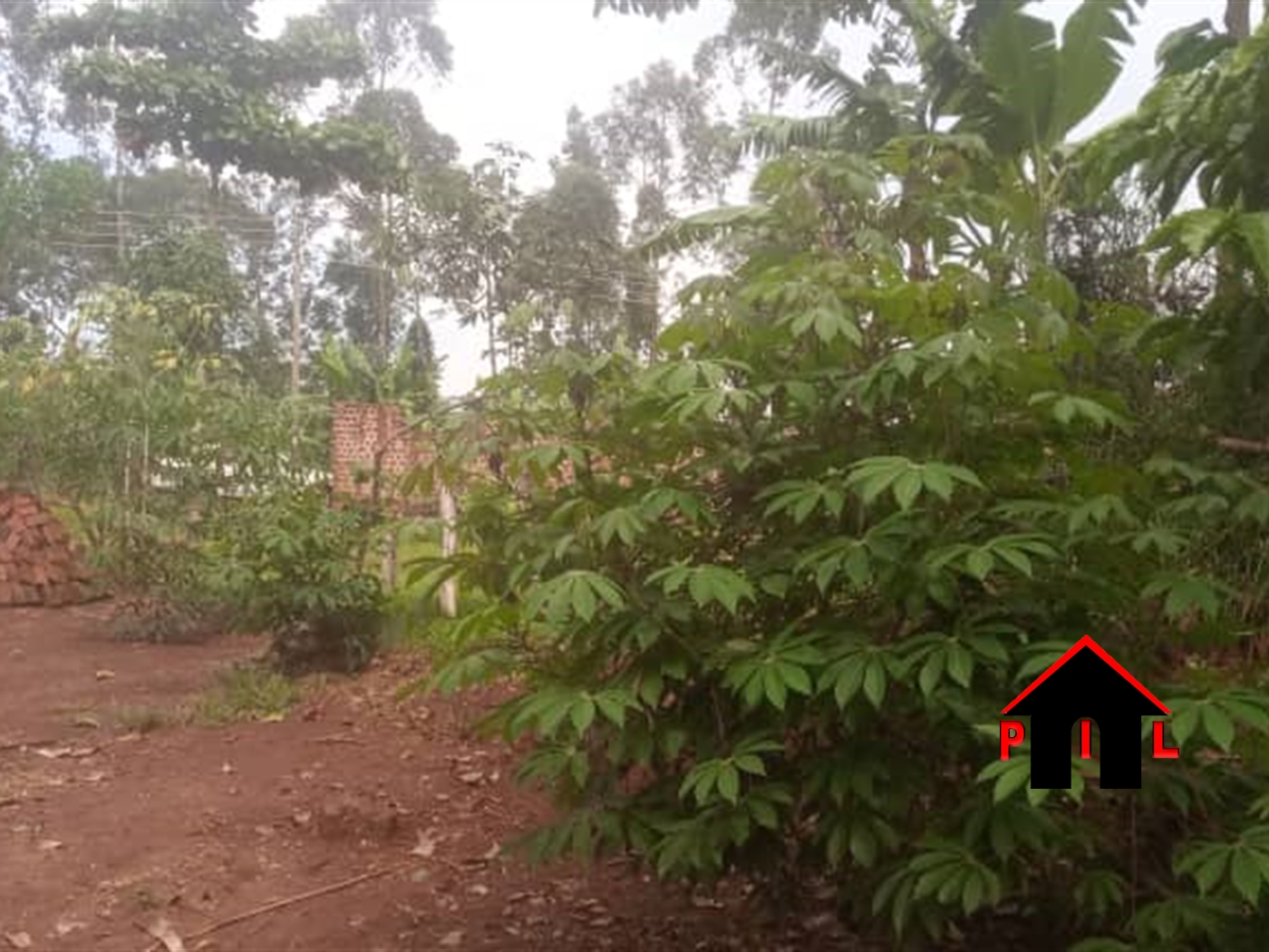 Residential Land for sale in Bukeelele Mukono