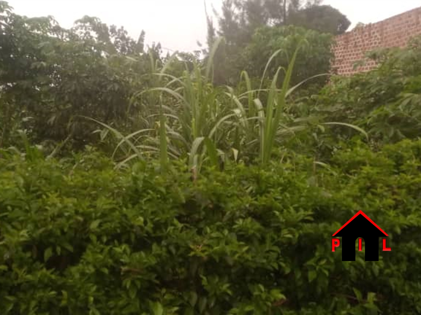 Residential Land for sale in Bukeelele Mukono