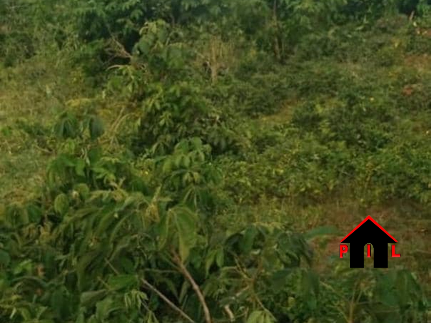 Commercial Land for sale in Ziloobwe Luweero