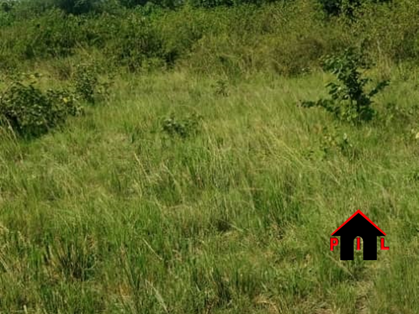 Agricultural Land for sale in Nalongo Luweero