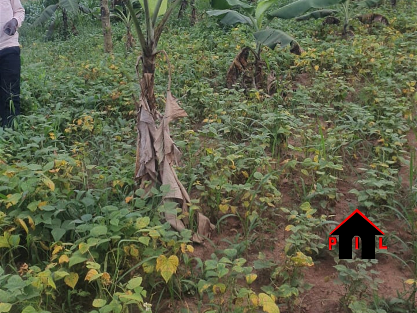 Residential Land for sale in Kasero Wakiso