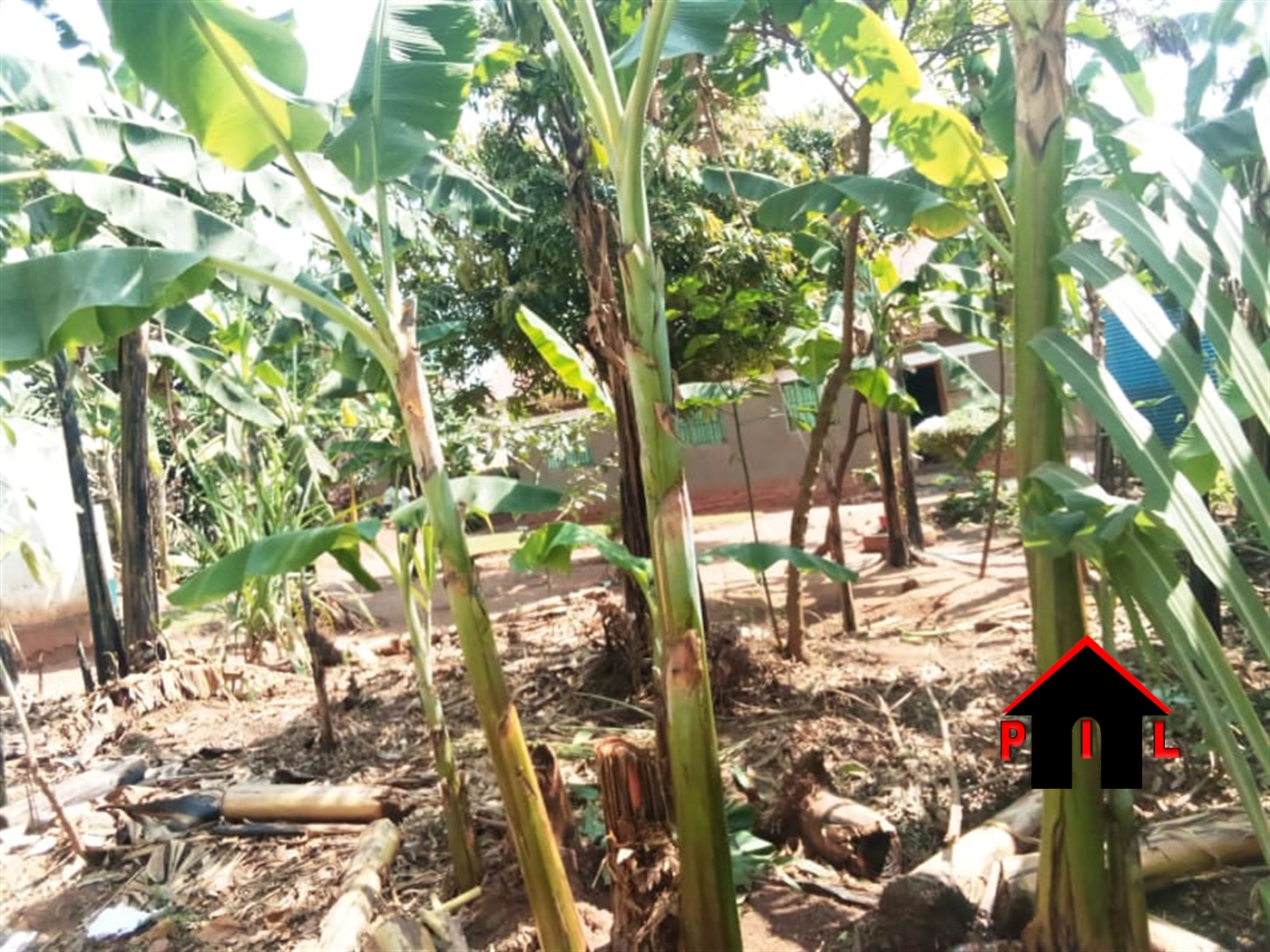 Commercial Land for sale in Kiwenda Wakiso